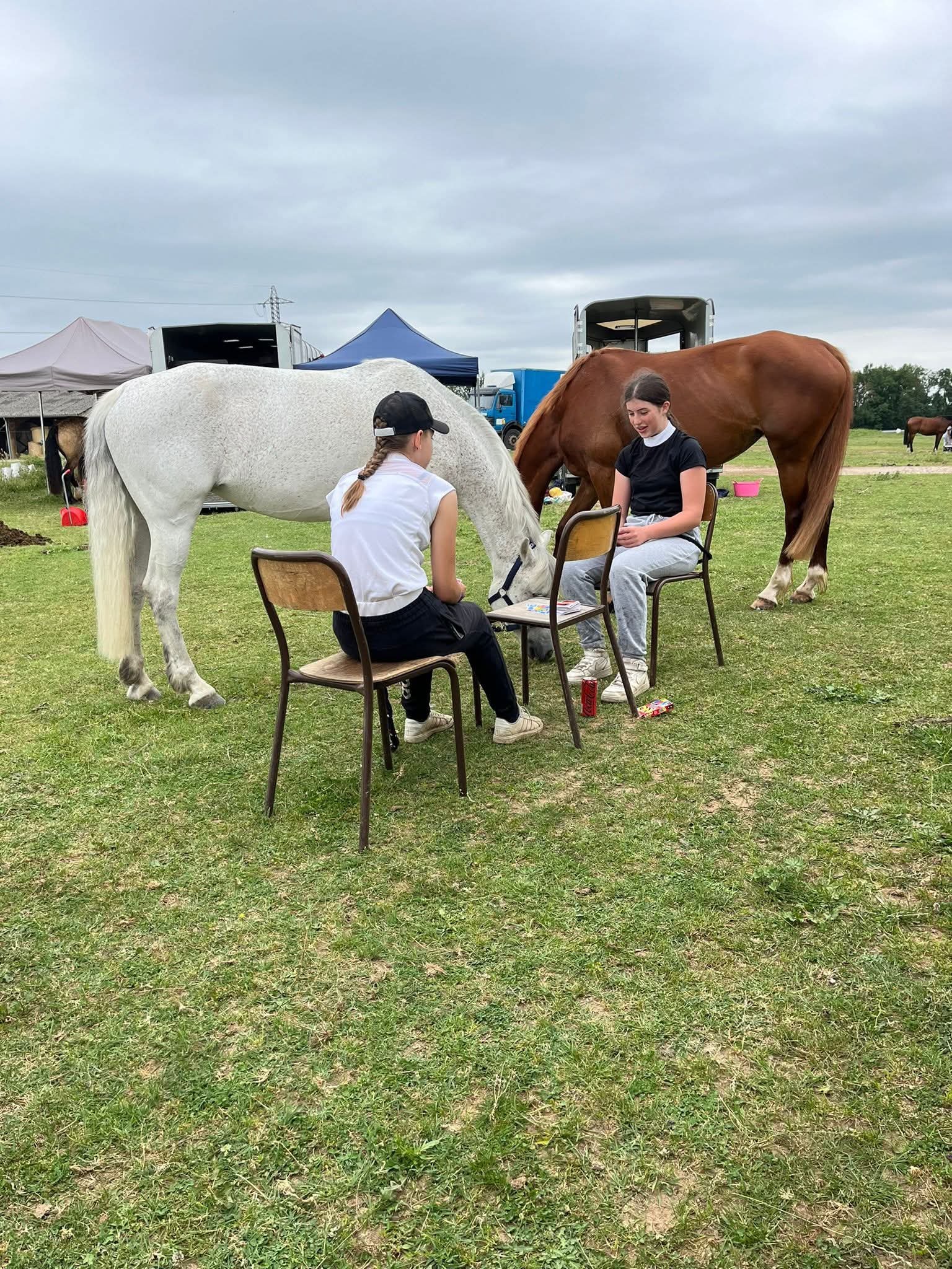 Poney Club de Viriat